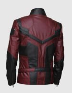 Red and Black Cafe Racer Jacket - Image 2